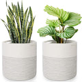 Flexzion Plant Basket (2 Pack) Modern Urban Boho Cotton Rope Basket Indoor Planter Holder (Up to 11 Inch Flower Pot) Macrame Woven Storage Organizer Bin with Handles Home Decor Storage 12" x 12"