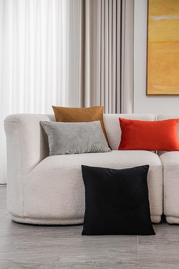 Throw Pillow Covers 22x22 Black: Pack of 2 Cozy Soft Velvet Square Modern Luxury Decorative Throw Pillow Cases for Sofa Couch Living Room Bed Home Decor