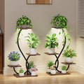 Plant Stand Indoor with Grow Lights - 2 Pack Plant Shelf, Lighted Corner Plant Stands for Indoor Growing, 4 Tiered Metal Flower Holder, S-Shaped Decorative Shelves for Home, Hallway, Black