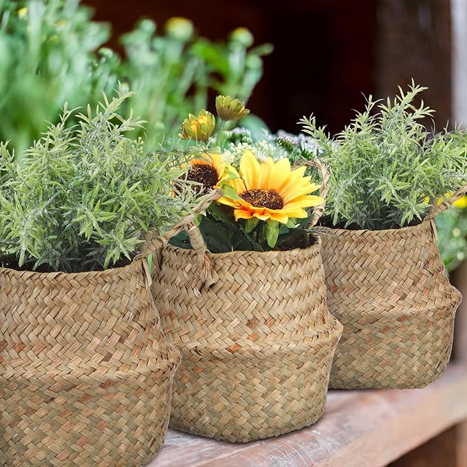 Qunclay 4 Pcs Woven Seagrass Baskets Belly Basket Folding Boho Natural Plant Pot with Handles Round Decorative Wicker Large Indoor Planter for Home Outdoor Tree Planters Decor (Xs,S,M,L)