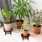 Geetery 2 Pcs 4 to 12 in Wooden Plant Stands Indoor Chinese Oriental Plant Stand for Vase Fishbowl Flower Pot Lamp Redwood Base Vintage Display Rack Decor(12 Inch)