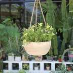 CYS EXCEL Large Wooden Hanging Planter Paulownia Wood Bowl Basket with Jute Rope for Indoor Plants Succulents