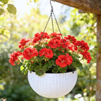LaLaGreen Indoor Hanging Planter (11 Inch, 1 Pack) Self-Watering Round Flower Pot with Water Level Indicator, White Rattan Style Hanging Basket with Metal Chain for Balcony, Porch, Deck, Garden Decor