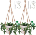 2 Pack Giant XXL 55 Inches Macrame Planter Hanger Large for 15 inch Pot + Swag Hook | Extra Large Hanging Planter for Indoor Plants | No Pot/Plant Included (XXL Jute)