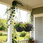 12 Inch Self Watering Hanging Planters 2 Pack, Indoor Outdoor Hanging Pots for Plants with Drainage Holes & Saucers, Black Plastic Hanging Baskets for Kitchen Balcony Garden