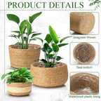 Sieral 5 Pcs Seagrass Hand Woven Planter Basket Large Plant Pots Indoor Flower Pots Cover, 12+10+8+7+6 Inch Storage Planter Containers with Plastic Liners
