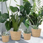 Mumufy 6 Pcs Seagrass Planter Basket Flower Pots Cover Plant Baskets Hand Woven Plant Basket Storage Containers with Plastic Liners for Indoor Outdoor Flower Pots Decoration 10, 7, 8.3 Inch(Classic)