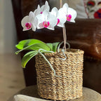 WHW Whole House Worlds Made by Nature Seagrass Baskets, Round, Natural Chunky Sweater Weave, Set of 3, Made by Hand, from 9.75-6.75 D Inches, Ideal for Storage