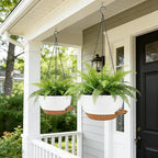 12 Inch Self Watering Hanging Planters 2 Pack, Indoor Outdoor Hanging Pots for Plants with Drainage Holes & Saucers, White Brown Plastic Hanging Baskets for Kitchen Balcony Garden