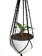 Plant Hanger Macrame Cotton 6 Legs 51 Inches in Tan and Green Color for Indoor Outdoor, Living Room, Kitchen, Deck, Patio, High and Low Ceiling with Size of 10-12 inches Without The Pot (Black)