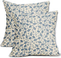 Light Blue Floral Pillow Covers 18x18 Set of 2 Vintage Rustic Old Style Cute Small Flower Blue Cream Print Decorative Outdoor Pillowcases Farmhouse Throw Cushion Case Decor for Couch Sofa Bed