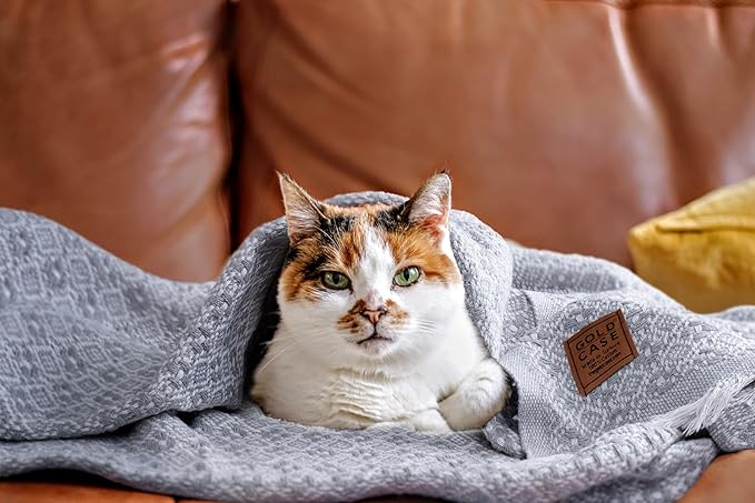 Gold CASE Throw Blanket for Couch – 100% Recycled Cotton – Retro Throw Blankets for Living Room, Bed, & Outdoor – Decorative Boho Blankets & Throws – Soft Couch Drape – Grey (60”x80”)