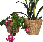 Set of 3 pcs Stylish Seagrass Planter Basket - Natural Water Hyacinth Small Storage - Made of Eco Friendly - Flower Pot Table Decoration - Boho Decor - Gift For Her