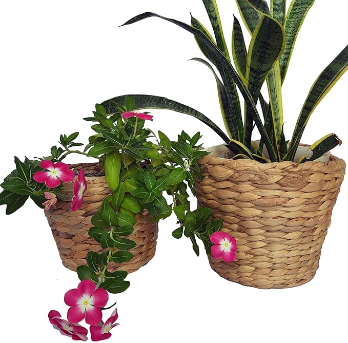 Set of 3 pcs Stylish Seagrass Planter Basket - Natural Water Hyacinth Small Storage - Made of Eco Friendly - Flower Pot Table Decoration - Boho Decor - Gift For Her