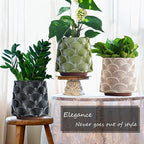 GUGUGO 8 Inch Pearl Black Scale Planter, Cute Unique Plant Pot with Drainage, Eclectic Colorful Small Flower Planters Pots for Indoor Plants, Rainbow Funny Succulent Gardening Pot Gifts