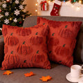 Fall Pumpkin Decorative Throw Pillow Covers 24x24 Set of 2 Pillow Covers, Faux Fur Square Pillow Cover Fluffy Plush Accent Throw Pillow Case, Throw Pillow Cover Cushion Cover for Autumn, Rust Red
