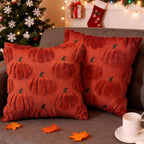 Fall Pumpkin Decorative Throw Pillow Covers 18x18 Set of 2 Pillow Covers, Faux Fur Square Pillow Cover Fluffy Plush Accent Throw Pillow Case, Throw Pillow Cover Cushion Cover for Autumn, Rust Red