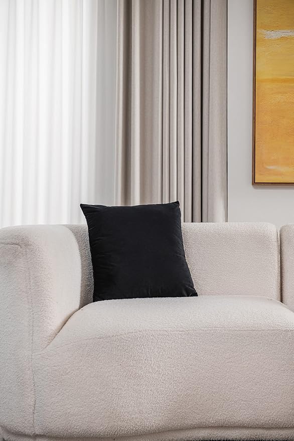 Throw Pillow Covers 16x16 Black: Pack of 2 Cozy Soft Velvet Square Modern Luxury Decorative Throw Pillow Cases for Sofa Couch Living Room Bed Home Decor