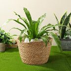 Woven Straw Flower Basket, Seagrass Planters Pot, Garden Plant Pot Containers Wicker Rattan Vase Sundries Organizer Storage Bins for Indoor Outdoor Plants