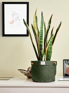 Waxed Canvas Handmade Hanging Planter for Indoor/Outdoor Plants, Hanging Basket Plant Holder Forest Green with Hook