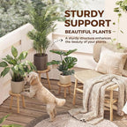 Bamworld Plant Stands Indoor 3 Pack Single Plant Stand for Multiple Plants Corner Plant Stool Wooden Plant Stands for Patio Garden Balcony Living Room Bedroom(Nature)