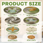 Tatuo 11 Pcs Boho Wall Basket Decor Decorative Bulrush Woven Basket Wall Decor Art Round Farmhouse Hanging Baskets for Kitchen Rustic Home Summer Decorations, Multi Sizes(Stylish)