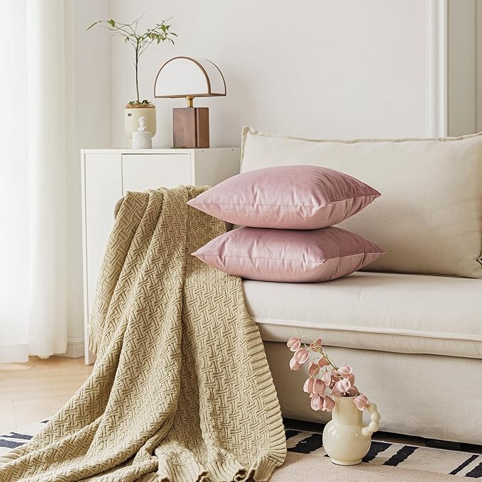 NiNi ALL Decorative Throw Pillow Covers Pack of 2, Velvet Throw Pillow Cases for Couch Pillows Cover Bedroom Living Room Outdoor Pillow Covers 20x20 Inch Dusty Pink