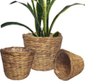 Set of 3 pcs Stylish Seagrass Planter Basket - Natural Water Hyacinth Small Storage - Made of Eco Friendly - Flower Pot Table Decoration - Boho Decor - Gift For Her