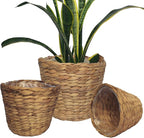 Set of 3 pcs Stylish Seagrass Planter Basket - Natural Water Hyacinth Small Storage - Made of Eco Friendly - Flower Pot Table Decoration - Boho Decor - Gift For Her