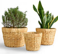 Indoor Water Hyacinth Plant Basket Set of 3, Woven Planter Baskets with Plastic Liner for Plants, Handwoven Plant Pots Decorative Wicker Planters for Home Décor (Saucer NOT Included)