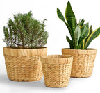 Indoor Water Hyacinth Plant Basket Set of 3, Woven Planter Baskets with Plastic Liner for Plants, Handwoven Plant Pots Decorative Wicker Planters for Home Décor (Saucer NOT Included)