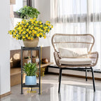 2-Pack Plant Stand Indoor Outdoor, 2 Tier Iron Plant Stand, 30'' Tall Pedestal Stand Outdoor, Metal Flower Stands for Indoor Plants, Balcony, Living Room (Black)