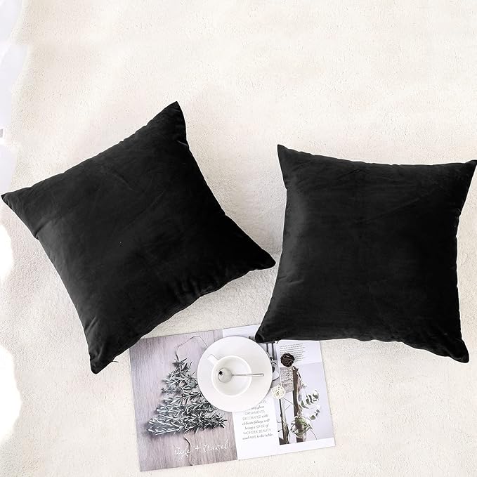 NiNi ALL Decorative Throw Pillow Covers Pack of 2, Velvet Throw Pillow Cases for Couch Pillows Cover Bedroom Living Room Outdoor, Pillow Covers 28x28 Inch Black