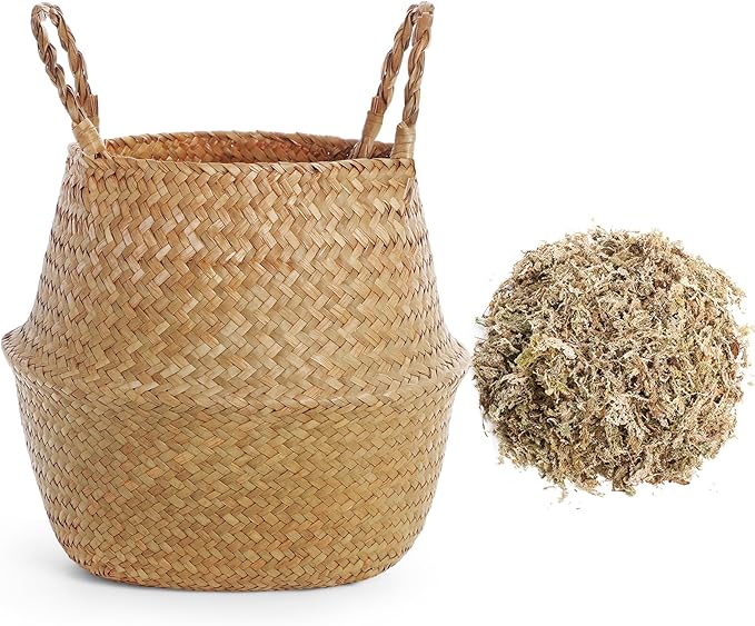 Large Wicker Plant Basket with Handle 10 Inch Woven Seagrass Belly Basket and Artificial Moss for House Plants Picnic Grocery Laundry Storage Home Decor(Large,Original,1 Pack)
