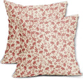 Pink Floral Pillow Covers 20x20 Set of 2 Vintage Rustic Old Style Cute Small Flower Pink Cream Print Decorative Outdoor Pillowcases Farmhouse Throw Cushion Case Decor for Couch Sofa Bed