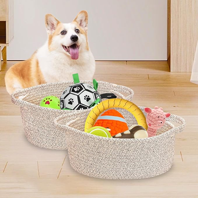 ABenkle Small Woven Basket 12"x 8"x 5" - Rope Room Shelf Storage, Cat Dog Toys Chest Box, Decorative Empty Gift With Handles - All Mixed Brown