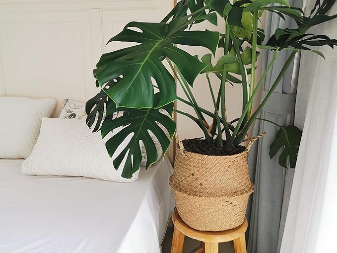 Extra Large Seagrass Plant Basket with Handles, Wicker Woven Storage Basket (14.1“ Diameter x 13.8" Height), Natural)