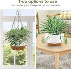 10 Inch Hanging Planter, 2 Pack Hanging Plant Self Watering Pot with Drainage Holes and Saucers, Hanging Baskets Flower Pots with Macrame Rope Hangers for Garden Home -White