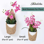 2 Pack 4 inch Macrame Wall Plant Hanger, Hanging Orchid Basket | Wall Plant Holder, Wall Planters for Indoor Plants (2 Pack, up to 4 inch Pot)