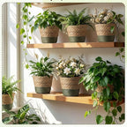 12 Pcs Seagrass Plant Basket with Plastic Liners Woven Stylish Planter Baskets Bulk Indoor Outdoor Plants Woven Wicker Baskets for Flower Pots Cover and Room Decor Small (Small,Farmhouse)