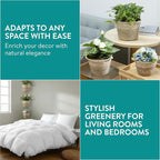 Navaris Seagrass Hanging Plant Pot Set - Decorative Indoor House Plant & Flower Pots with Jute Rope - Woven Basket Pattern for Home Storage - Small, Medium and Large Planters