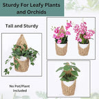 2 Pack 4 inch Macrame Wall Plant Hanger, Hanging Orchid Basket | Wall Plant Holder, Wall Planters for Indoor Plants (2 Pack, up to 4 inch Pot)