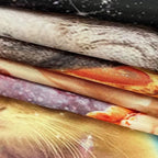 Cats Tapestry, Cool Funny Kittens Starry Sky Nebula Galaxy Milky Way Space Psychedelic Hippie Wall Hanging for Home Decor, 48x36 Inches