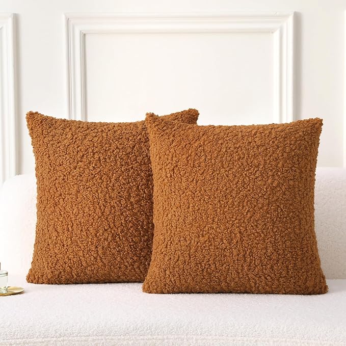 FUTEI Rust Throw Pillow Covers 22x22 Inch Set of 2,Furry Faux Fur Teddy Boucle Textured Cushion Covers,Soft Fluffy Decorative Pillow Case,Home Decor for Couch Bed Living Room Office Car