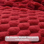 NEWCOSPLAY Super Soft Twin Blanket Red Premium Silky Flannel Fleece 3D Clouds Stylish Jacquard Lightweight Bed Blanket All Season Use 350GSM (Red, Twin(60"x80"))