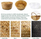 2 Pack Hand Woven Seagrass Plant Basket for Succulents,Boho Belly Plant Basket Home Storage Basket Extra Large Woven Straw Beach Bag Seagrass Flower Plant Container Modern Home Decor(Brown)