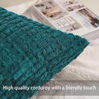 Pack of 2 Corduroy Decorative Throw Pillow Covers 18x18 Inch Soft Striped Pillow Covers Modern Farmhouse Home Decor for Sofa Living Room Couch Bed（Turquoise）