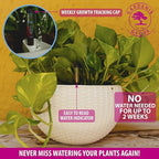 GARDENIX DECOR 11'' Self Watering Hanging planters for Indoor Plants - Flower Pot with Water Level Indicator for Plants, Hanging pots - Self Watering Planter Plant Pot-Coco Coir- Round 1 Pack - White