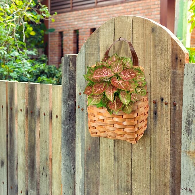 Yinkin 3 Pack 6 Inch Small Wall Hanging Basket Woven Wood Storage Basket Hanging Rope Organizer Flower Plants Vegetable Wall Decoration for Porch Living Room Bedroom Home(Brown)