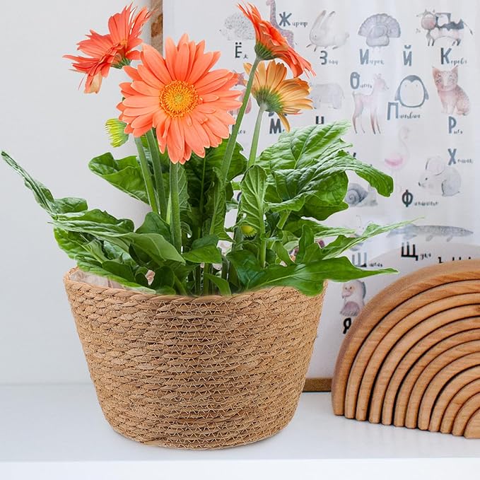 Veemoon 2pcs Wicker Planter Basket, Rustic Straw Woven Flower Basket Arrangement Flower for Plants Laundry Bin Storage Woven Plant Pot Hanging Seaweed Girl Toddler Hanging Seaweed 10. 41x10. 41x7.